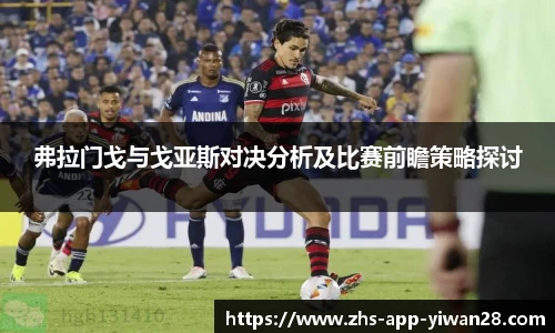 弗拉门戈与戈亚斯对决分析及比赛前瞻策略探讨